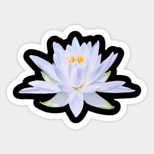 My Ghost - waterlily blossom Sticker